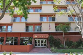 The Grove Care and Wellness 