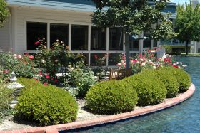 Catered Living at Chateau Lake San Marcos 