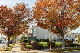 Bayview Rest Home 