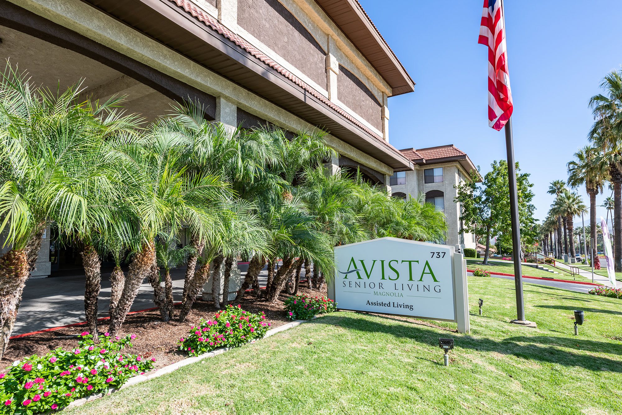 Avista Magnolia