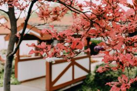 Cove Point Retirement Assisted Living 
