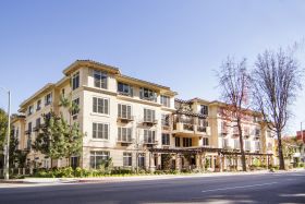 Ivy Park at Studio City 