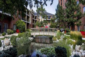 Springbrooke Senior Living 