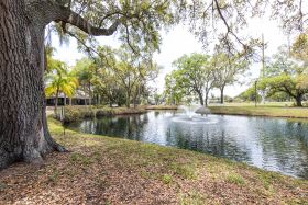 Woodlands Village 