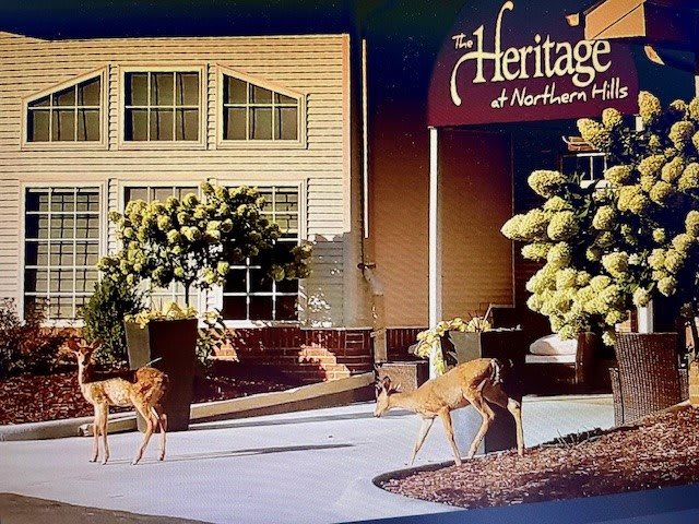 The Heritage at Northern Hills