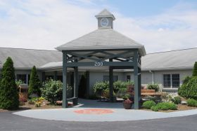 Whispering Pines 