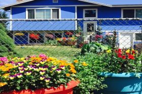 Emanuel Adult Family Homes, LLC 