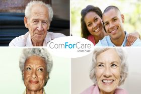 ComForCare Home Care - Streamwood, IL 