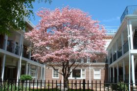 Penn Home 