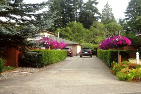 Photo of Green Haven