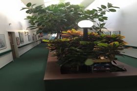 Gardens Assisted Living 
