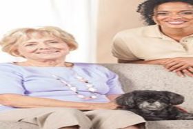 SYNERGY HomeCare of North Pinellas, FL 