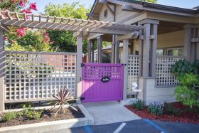Roseberry Care 