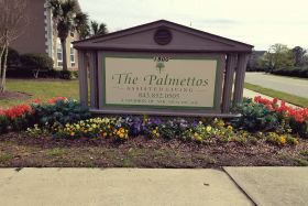 The Palmettos of Charleston 