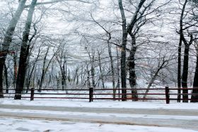 Bethesda Ranch AFH 
