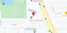 Aegis of Shoreline in google map