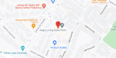 Aegis of Dana Point in google map