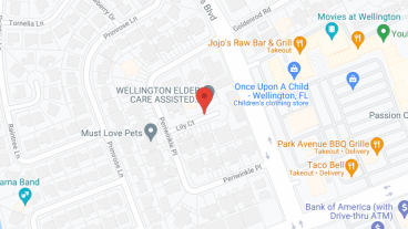 The Club at Wellington in google map