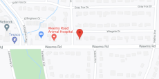 Restorative Personal Care Home in google map