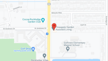 Pineapple Garden Inc in google map