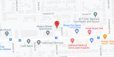 Integrated Day Services and Rehabilitation in google map