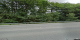 street view of Angel Caring Homes Inc