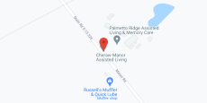 Palmetto Ridge in google map