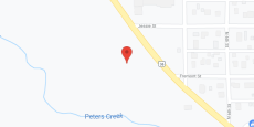 The Willow in google map