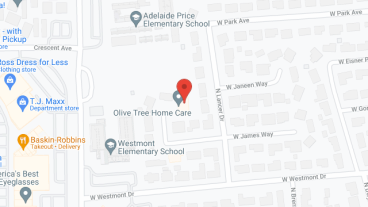 Olive Tree Home Care in google map