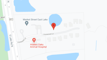 Market Street Tampa in google map