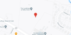 The Landings of Mills River in google map