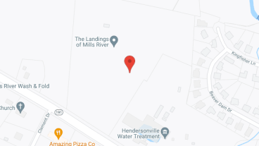 The Landings of Mills River in google map