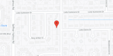 Genesis ALF Valrico in google map