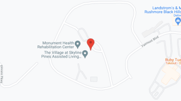 The Village at Skyline Pines in google map