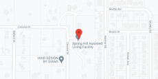 Elevated Estates of Spring Hill in google map