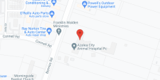 Ashton Meadows in google map