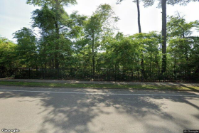 Evergreens at Mahan 