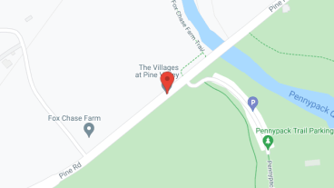 The Villages at Pine Valley in google map