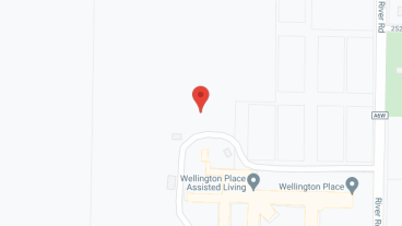 WELLINGTON PLACE in google map