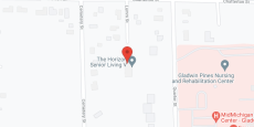 The Horizon Senior Living V in google map