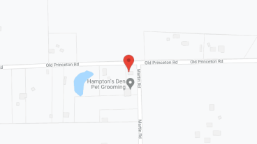 Caritas - Human Services Center in google map