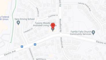 Tysons Woods II in google map