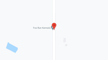 Country Home Comforts in google map