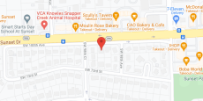Sunset Senior Care of Miami Inc. in google map