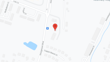 Spencer Village in google map