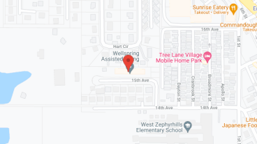 Wellspring Assisted Living Facility in google map