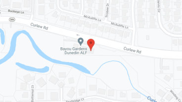 Nurses Helping Hands of Dunedin in google map
