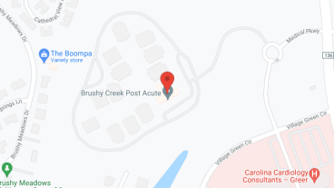 Brushy Creek Post Acute in google map