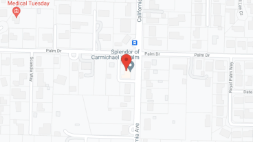 The Splendor of Carmichael at Palm in google map