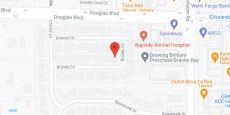Vitae Home Care in google map